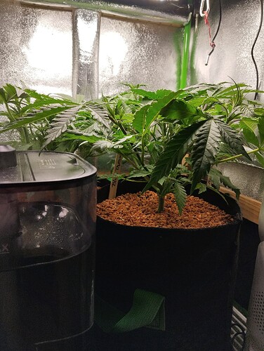 Growreport Bild 7