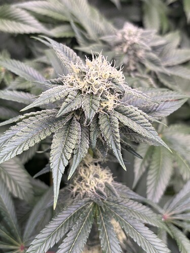 Growreport Bild 22