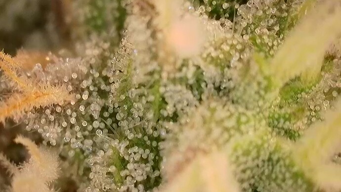 2025-10-22-075251061