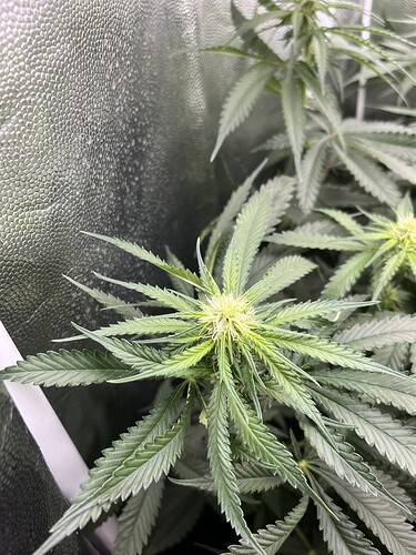 Growreport Bild 19