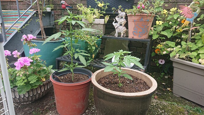 Growreport Bild 42