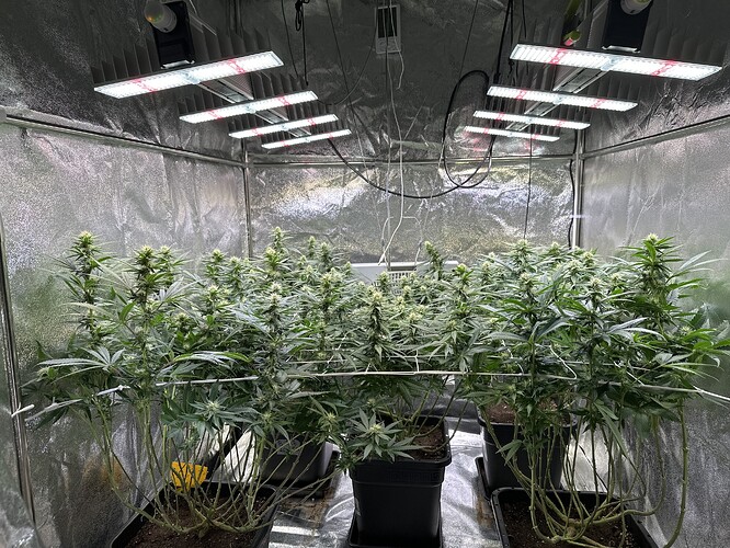 Growreport Bild 51