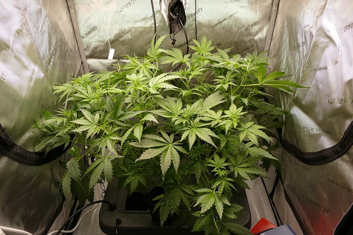 Growreport Bild 11