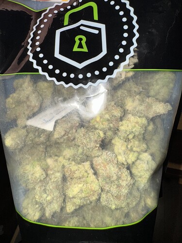 Growreport Bild 52