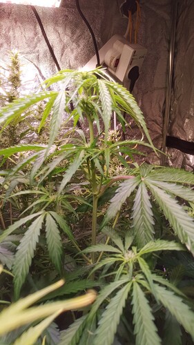 IMG_20240513_092739_280