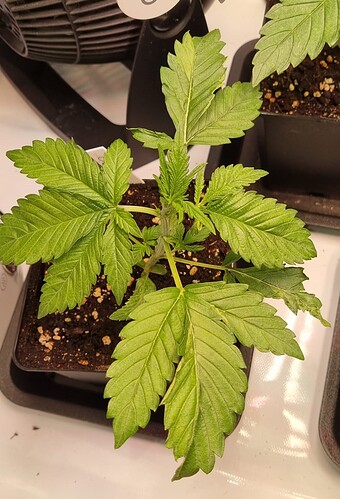 WhatsApp Image 2024-11-10 at 22.06.26 (3)