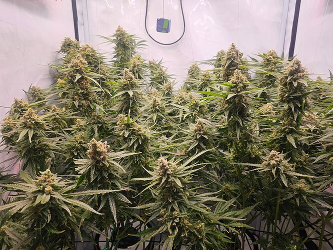 Growreport Bild 8