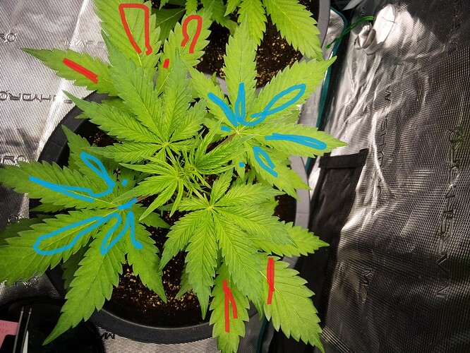 IMG_2025-03-26-14-18-38-245