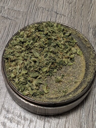 Growreport Bild 21