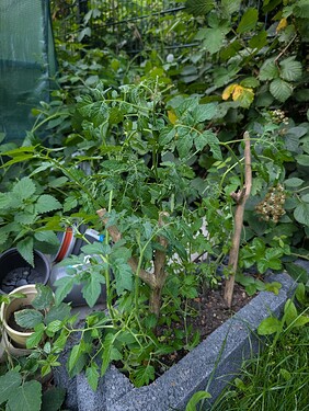 PXL_20250625_183524867