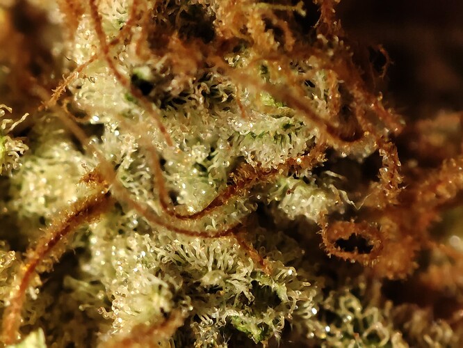Growreport Bild 13
