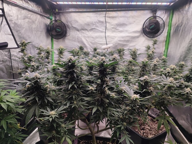 Growreport Bild 17