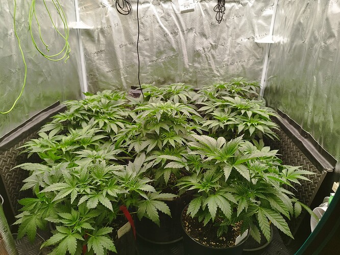 Growreport Bild 8