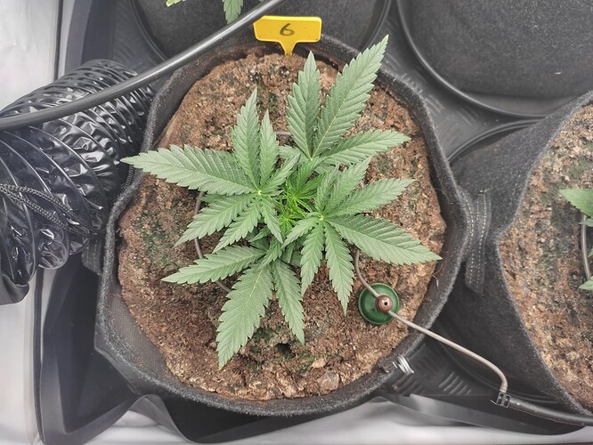 Growreport Bild 14