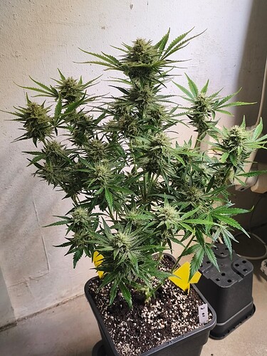 Growreport Bild 11