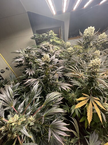 Growreport Bild 11