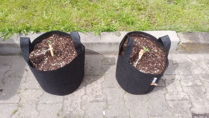 Growreport Bild 6