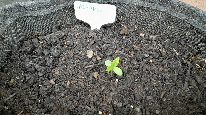 Growreport Bild 16