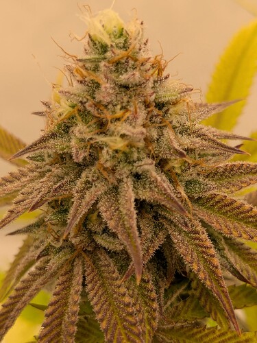 PXL_20240706_160158998