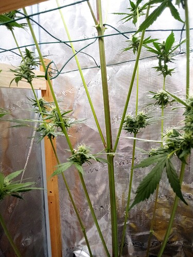 Growreport Bild 22