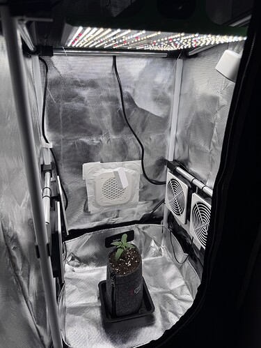Growreport Bild 3