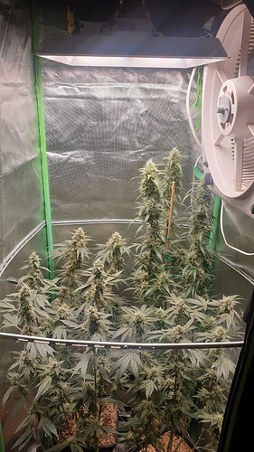 Growreport Bild 1