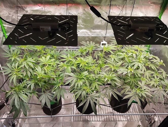 Growreport Bild 12