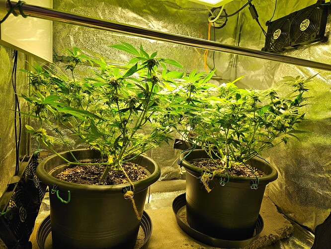 Growreport Bild 5