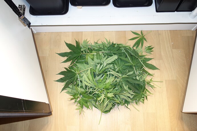 Growreport Bild 2