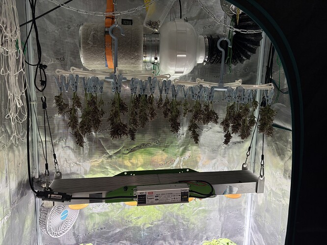 Growreport Bild 6