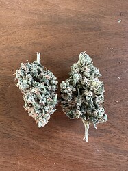 Growreport Bild 15