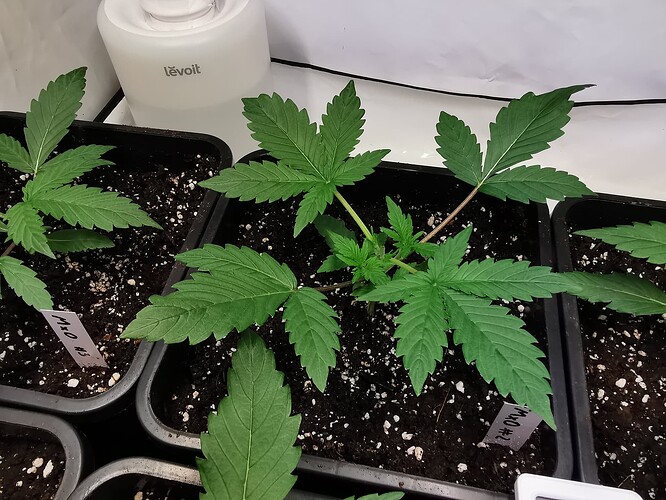 Growreport Bild 9