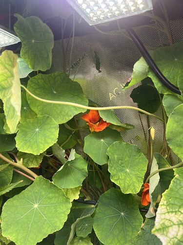 Growreport Bild 33