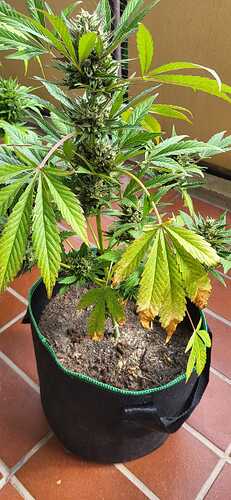 WhatsApp Image 2024-08-18 at 12.55.58