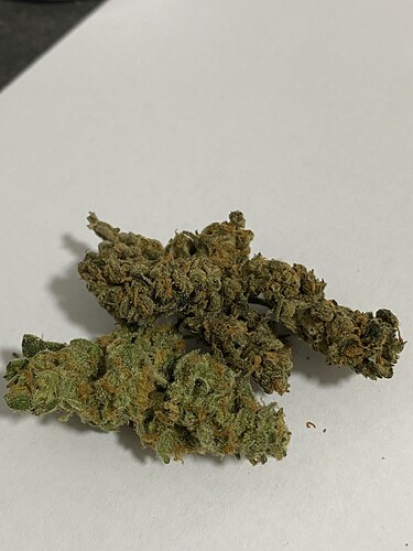 Growreport Bild 42