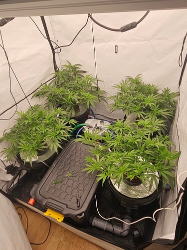 Growreport Bild 8