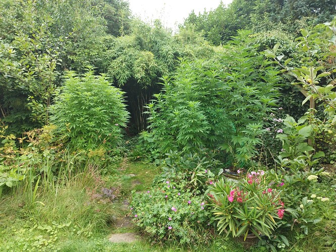 Growreport Bild 8