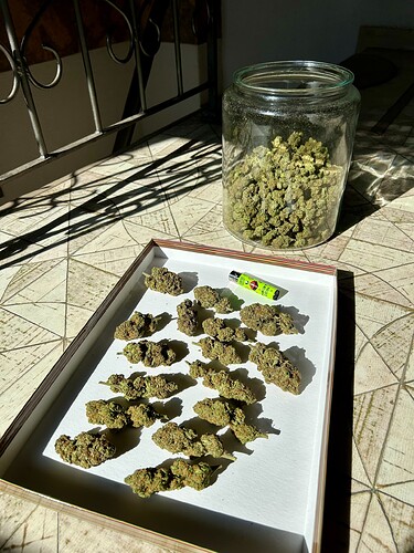 Growreport Bild 4