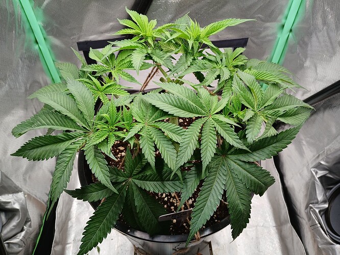 Growreport Bild 8