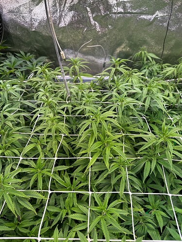 Growreport Bild 15