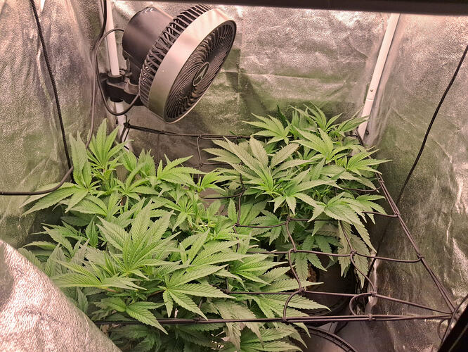 3a3546fb-ea16-48f2-a7c9-96aa562aaafc