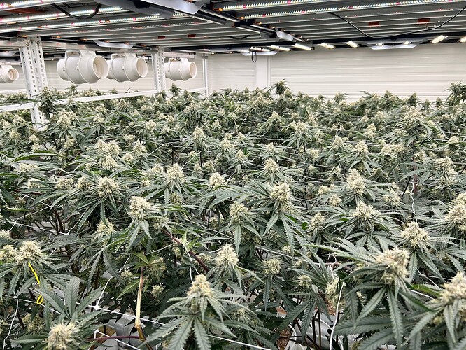 Growreport Bild 23