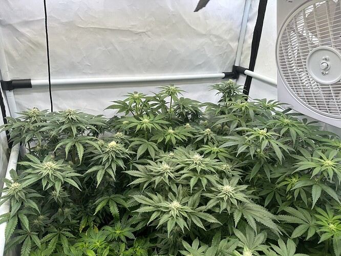 Growreport Bild 2