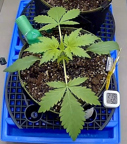 Growreport Bild 2