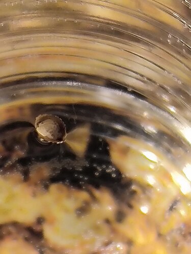 photo_2025-01-21_21-13-44