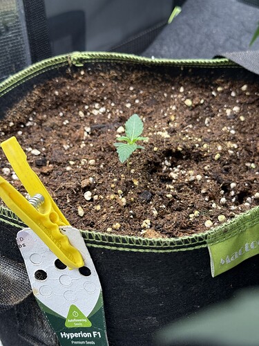 Growreport Bild 37