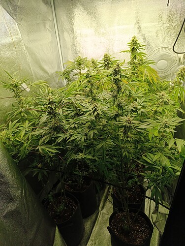 Growreport Bild 7