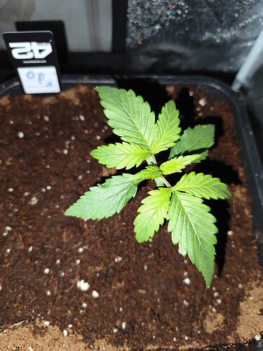 Growreport Bild 9