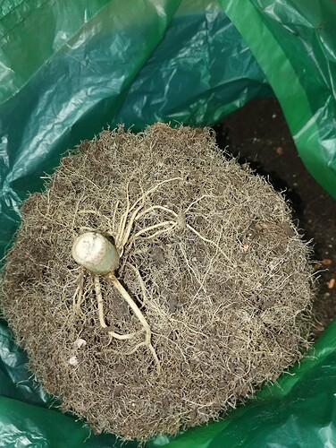 Growreport Bild 10