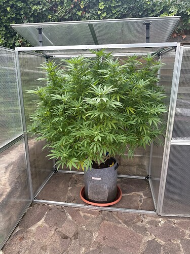 Growreport Bild 28